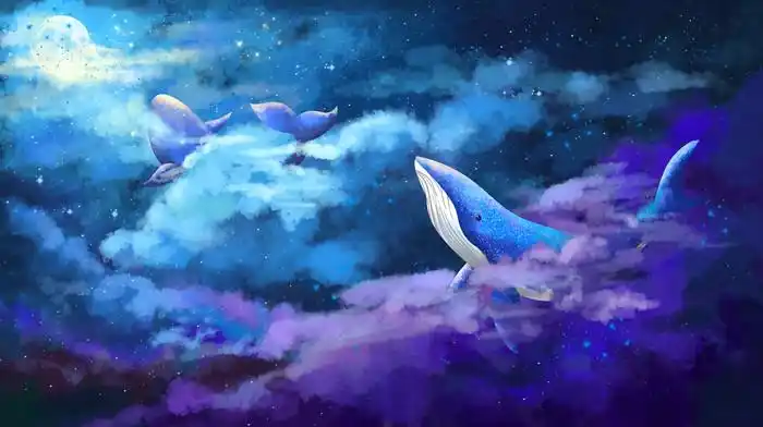 鲸鱼星空
