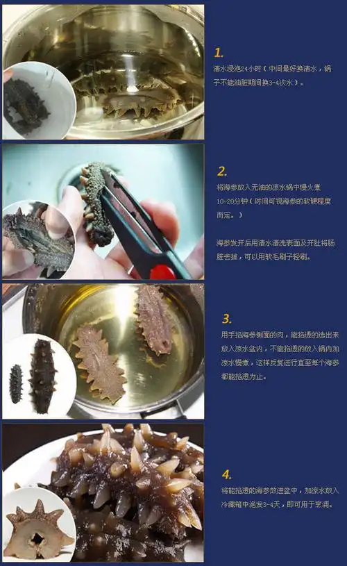 海参干货 印尼野生海参