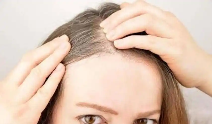 包含不要在长白发的句子的词条