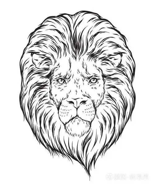 手绘狮子头孤立在白色背景矢量图.闪存纹身或打印设计