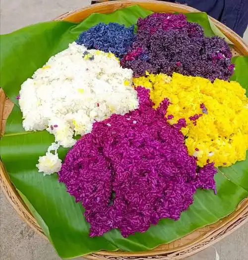 将精心蒸制的五色糯米饭,送到了广西百色边境管