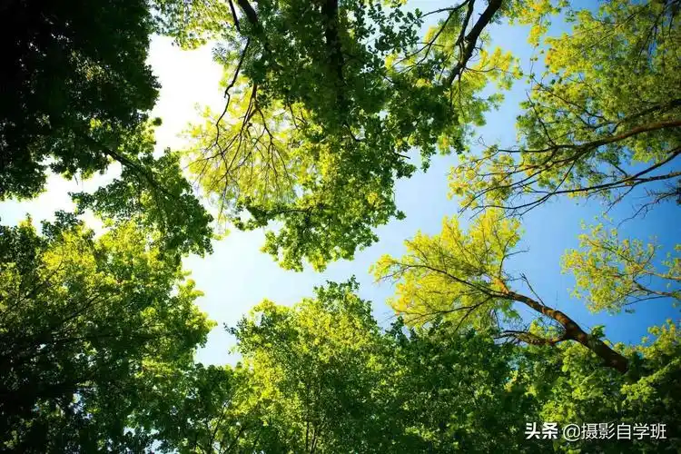 风光摄影的7个小技巧,帮你照片大改变,摄影新手轻松入门