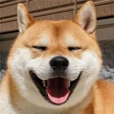 2019微信头像图片大全男生精选 逃避可耻但比玩物丧志有趣