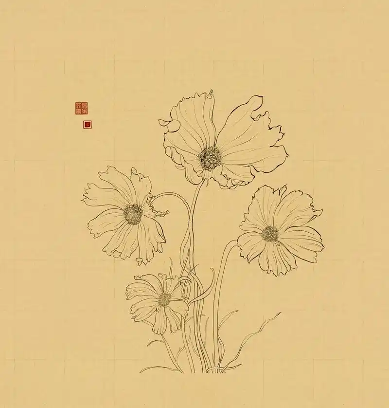 雏菊|白描.理解别人是善良,理解自己是智慧 #画画 #一起学 - 抖音