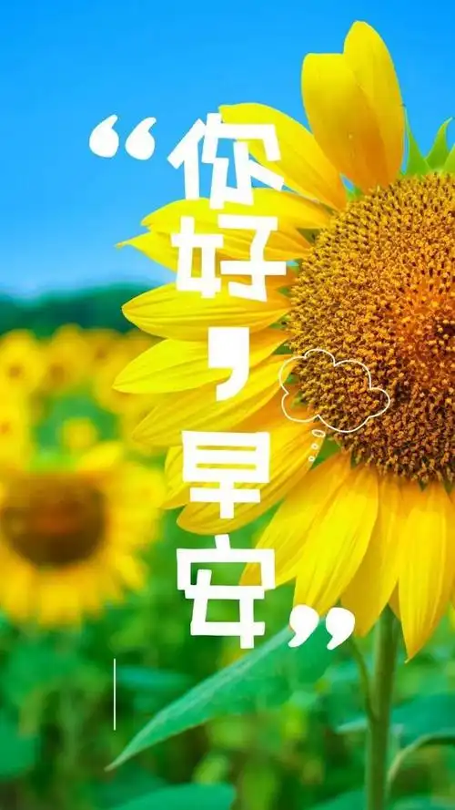 早安心语简单一句话 励志早安图片文字