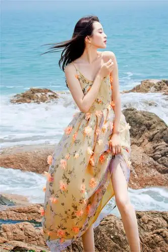 波西米亚长裙性感v领露背欧根纱吊带连衣裙夏女神海边度假沙滩裙