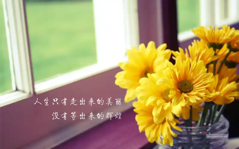 【盈和·公益项目】助人者培育营┃第五期开营申请啦!