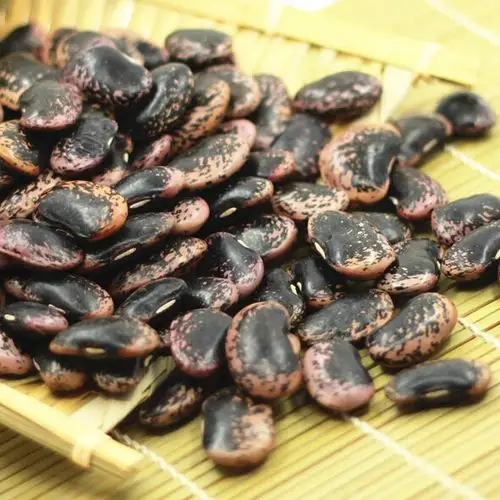 大黑花芸豆-400g_云南原产-雪山农场大黑花芸豆400g-万旗网特产商城