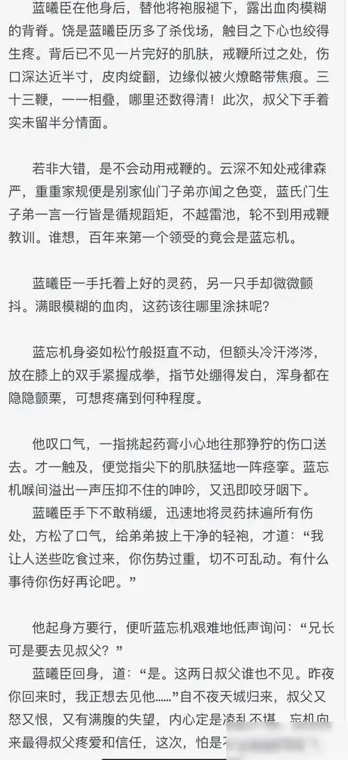 魔道祖师蓝忘机之离殇2戒鞭二