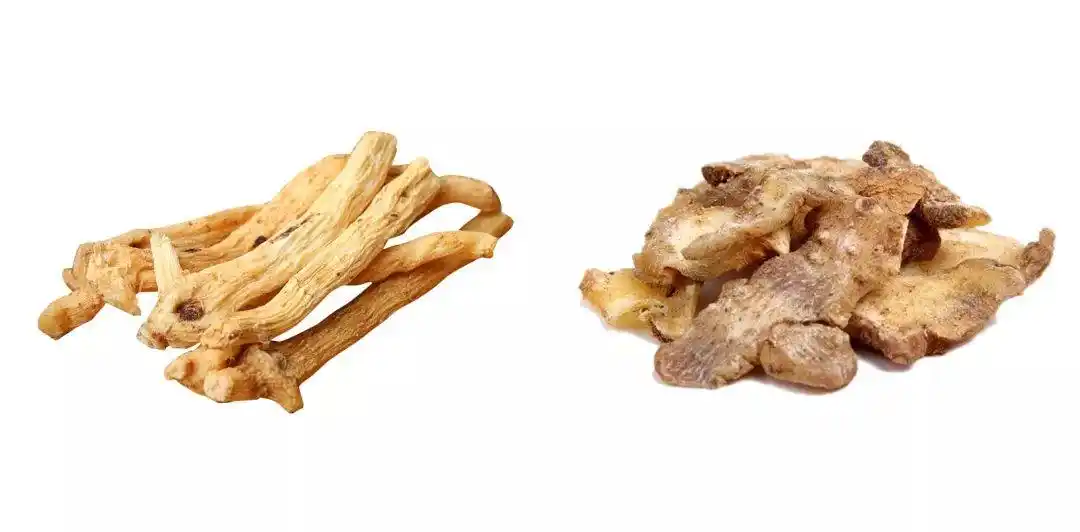 左:玉竹饮片.右:黄精饮片.