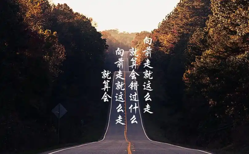 人生如路要有耐心踏实走好每一步坚持不懈拼命地奔向终点