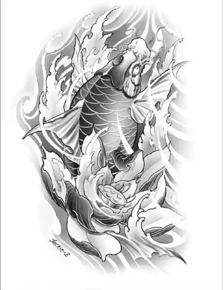 传统纹身##鲤鱼纹身##鲤鱼纹身手稿##锦鲤纹身##北京纹身