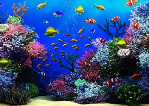 海底世界模型 - 3d模型素材下载 - cg模型网