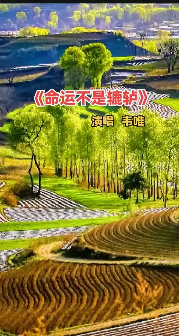 一首怀旧老歌《命运不是辘轳》唱出多少辛酸#6070后经典回忆 - 抖音