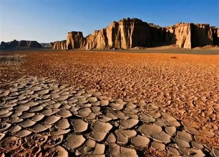 死亡之海罗布泊原住民一生吃鱼村中老人常活到百岁