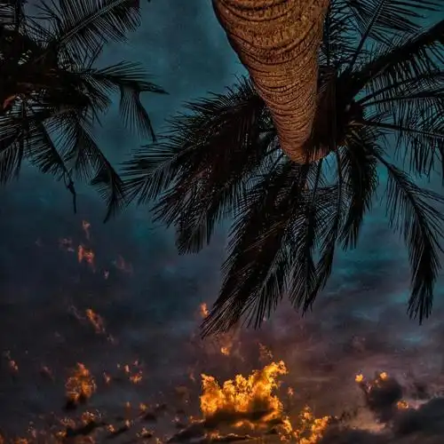 唯美·ins风背景图:阳光和你同在,就是我想要的未来!