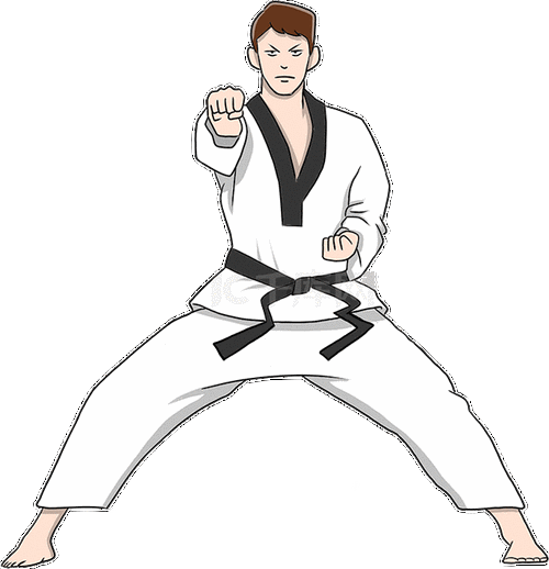 手绘跆拳道男子打拳人物动图gif