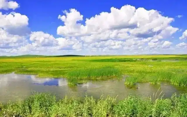 《天边》太美了!