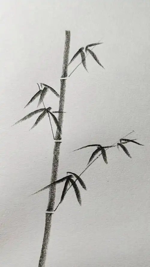 竹子的画法竹子的画法教学视频教程