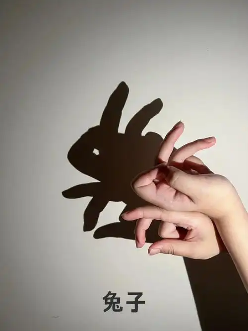 适合睡前陪孩子一起玩的睡前小游戏儿童手影游戏