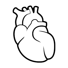 心脏线稿图片