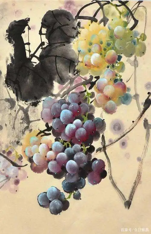 当代写意葡萄名家张汉清侧记