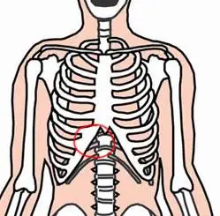 红圈的位置就是疼痛的位置. 我的右面肋骨下疼,时大时小的疼.请