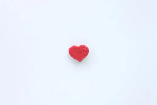 modo 我的一颗心 手工刺绣胸针