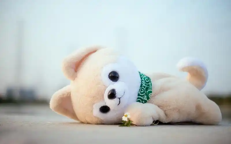 可爱萝莉清新自然唯美写真桌面壁纸