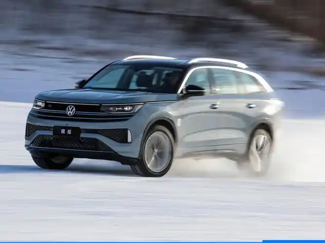 从极寒冰雪之旅,看一汽-大众"双揽"的"驾"值观_凤凰网