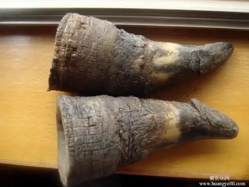 药用价值(如退热,滋补壮阳的春药,预防宿醉,治疗癌症),犀牛角受到极其