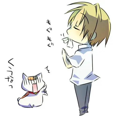 夏目友人帐图片9