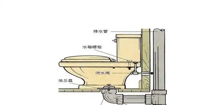 马桶结构是桶由排水管,密封圈,马桶座,角阀,水封,水箱,止水橡皮圈,补