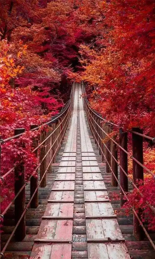 高清美景,养眼养心!