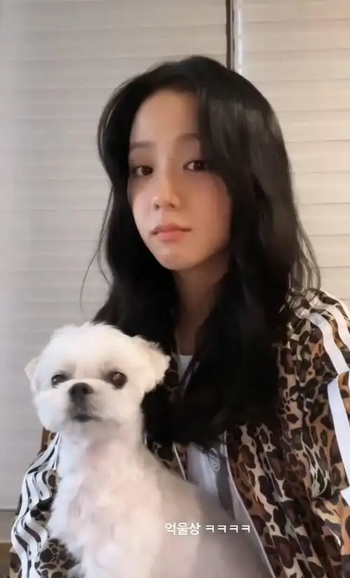 5.金智秀 月熊(无单狗图)4.jennie 卡伊 kuma3.ros07 hank2.