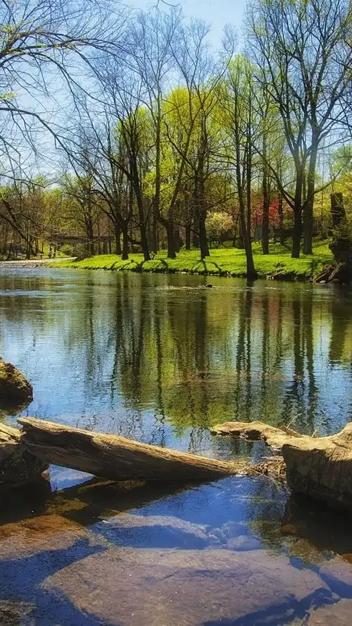 首页 自然与风景 春天