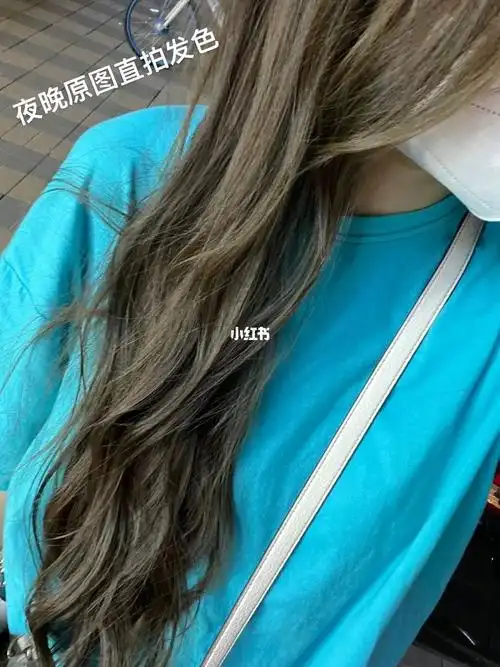 新发色get73冷棕闷青色