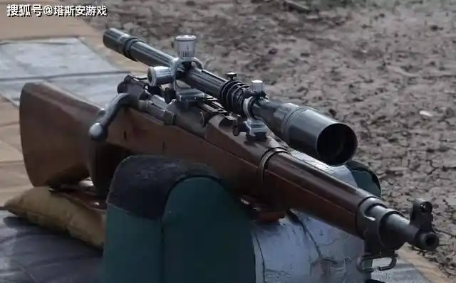 盘点二战期间十大常见的栓动式步枪,以及每支的衍生型或过渡型_莫辛