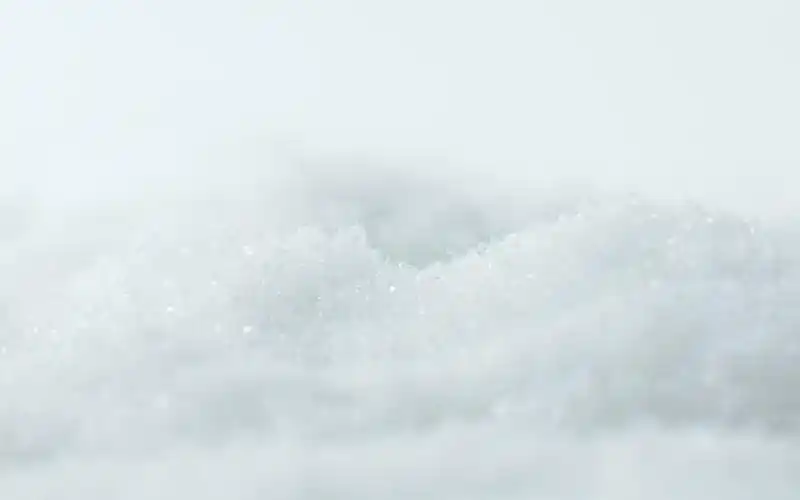 白色玫瑰花,高清图片,电脑桌面-壁纸族