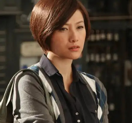 偶像剧《将爱情进行到底》是十足的印象唯美派,徐静蕾和李亚鹏深爱