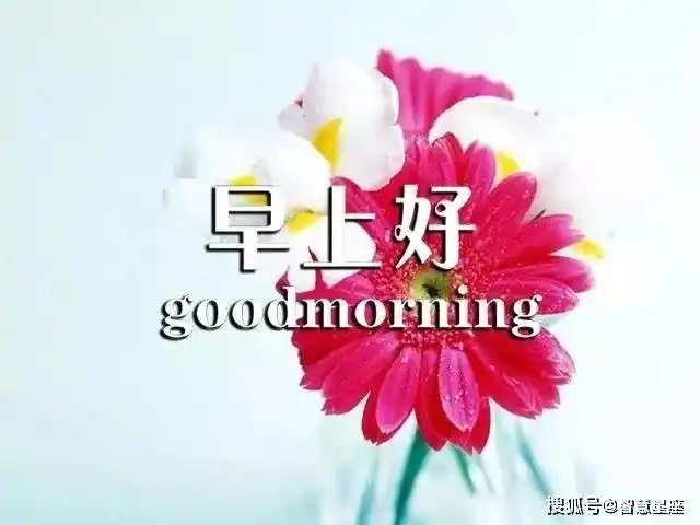 原创2021牛年最新版早上漂亮表情问候祝福图片早上好微信温馨祝福图片