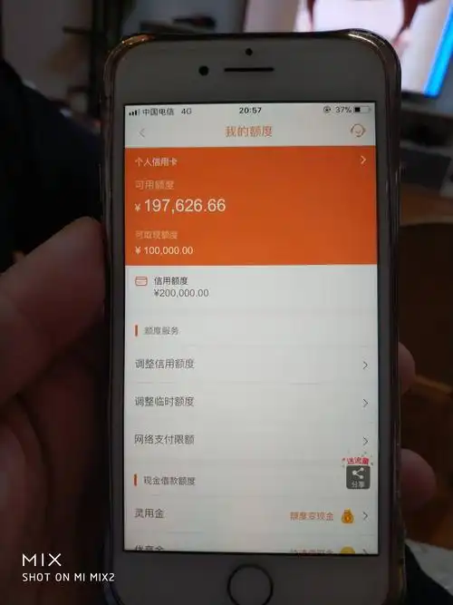 20万谁说平安铁公鸡了