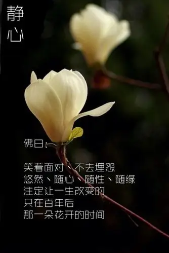 一念放下 万念皆空缘分是一个很奇怪的东西明明注定走不到一起为什么