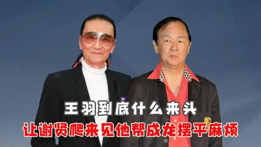 王羽到底什么来头?让谢贤爬来湾湾见他,帮成龙一举摆平麻烦