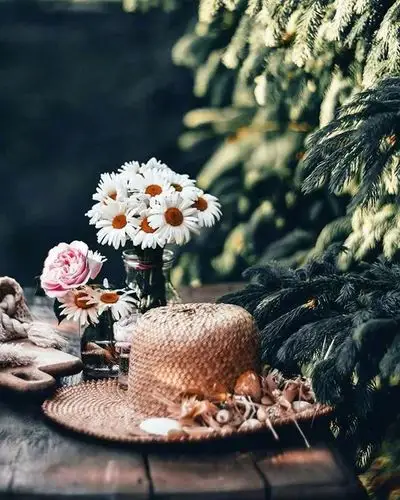 唯美图片世界是平衡的每个人都是通过自己的努力去决定自己生活的样子