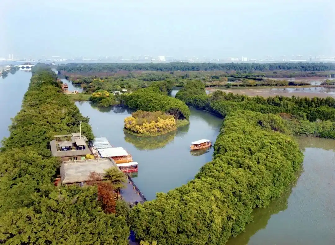 春节去哪儿玩?当然是广州南沙湿地公园了