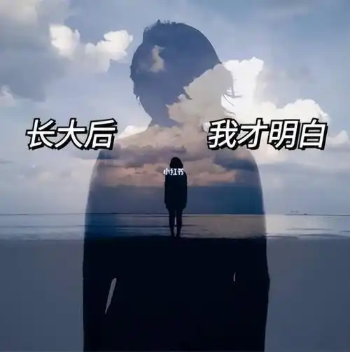 张爱玲说过一句话:中年以后的男人,时常会觉得孤独,因为他