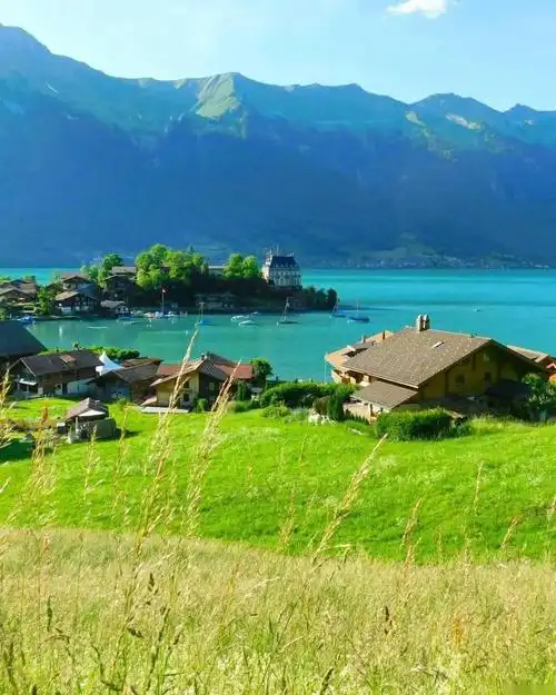 轻盈舒缓,悠然自在的句子,带你走近自然梦回天堂