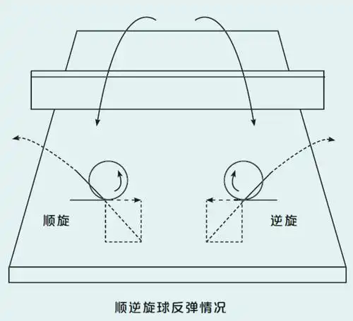 不同旋转的球,击球后的弹跳路线是什么样的?-乒乓国球汇