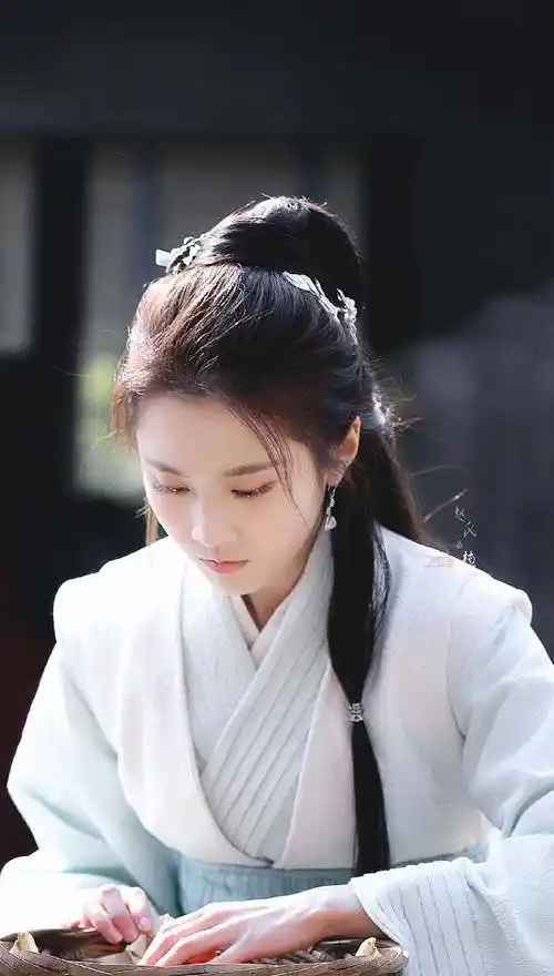 《琅琊榜之风起长林》– 林奚–张慧雯